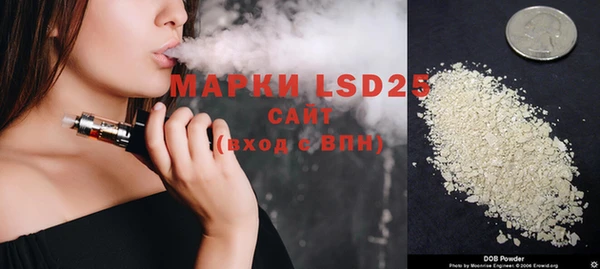 шишки Балахна