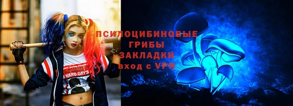 шишки Балахна