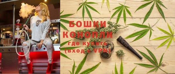шишки Балахна
