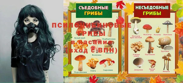 ПСИЛОЦИБИНОВЫЕ ГРИБЫ Балабаново