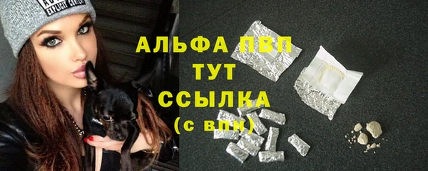 шишки Балахна