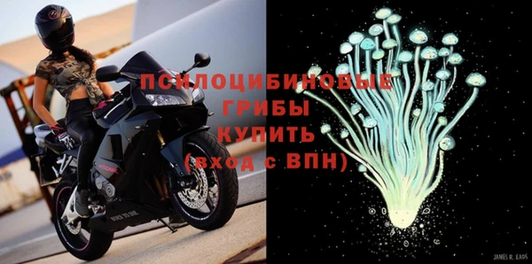 шишки Балахна