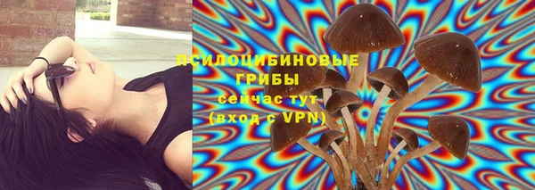 ПСИЛОЦИБИНОВЫЕ ГРИБЫ Балабаново