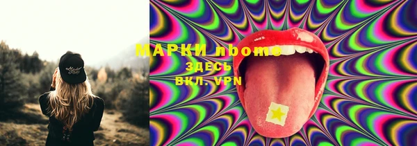 шишки Балахна
