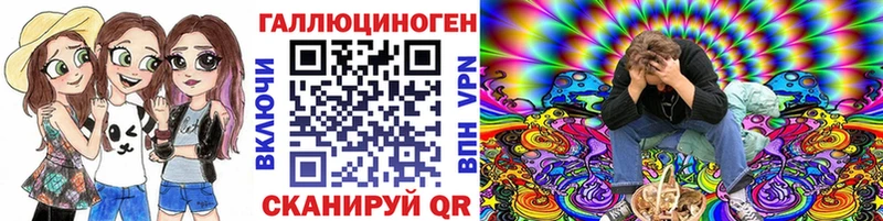 Псилоцибиновые грибы Psilocybe Черняховск